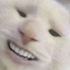 Ccchen