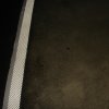 tighug