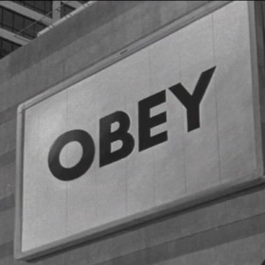 更粗暴的鳥rougher bird