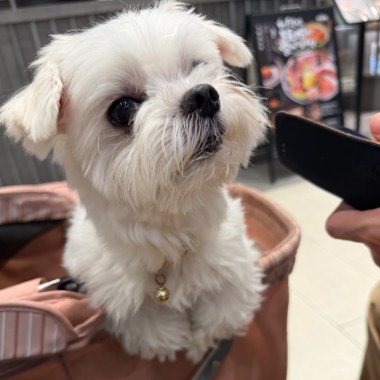 🌟眾神的盛筵🍀