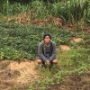 瑋仔
