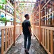 Cheng Wei Tse