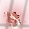 tina_shun