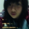 ♫ 泰迪♫