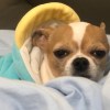 littlesunshine
