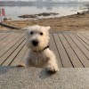 想太多心就乱了。