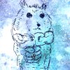 水星倉鼠