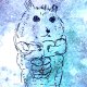 水星倉鼠