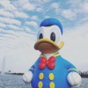 一碗盖饭