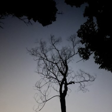 重靈法則feat.My shit麻鞋