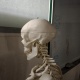 紬