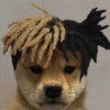 阿布