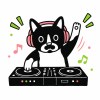 DJ Hawaii (T-Wei)