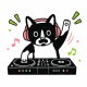 DJ Hawaii (T-Wei)