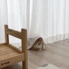 〇