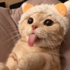 tzuuu