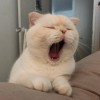 你今天真好看