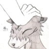 ufox0912