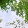 小邀