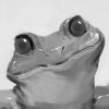 Skaamit