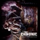 闪灵Chthonic