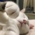 ゆら