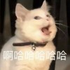 Mizu