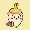 Chip