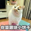 茶