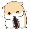 薇琪
