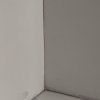 言永