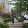 咻咻