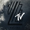 vuLner - “ throbbing capsule ” (f. f. session)