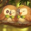 vuduwi