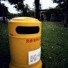 王姵霖