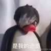 东北从来就没有春天（demo）