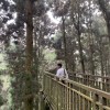 熊