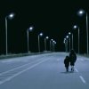 系列1