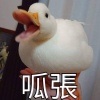 Yi.wang