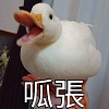 Yi.wang