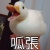 Yi.wang
