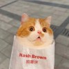 wabaooo