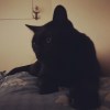 CharlieC