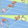 佛搂蜜