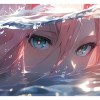 花灿