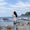 wild_sound_311