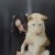 wanni_jiang
