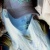 Sarah.S