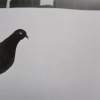 wating_godot