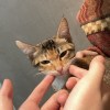 ᴊ ° ᵕ。ʏ